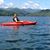 Jeanette Burbach Borzych's profile image