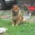 Joyce License's profile image