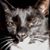 Mark Dougherty's profile image
