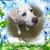 Susan Hawkins Clark's profile image