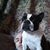 Lanny Smith's profile image