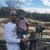 Jose El Chepe Flores's profile image