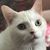 Rhonda Avery Powers's profile image