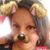 Rachel Marcella Willis's profile image