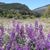 Beverly Sharp London's profile image