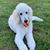 Holly Habelow's profile image