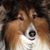 Michael Murphy's profile image