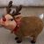 Sheri McManus's profile image