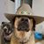 Wallace T Bronson's profile image