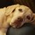 Cathy Young's profile image