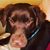 Mollie Jewell Saunders's profile image