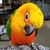 Dawna Camden's profile image