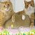 Suzette Baker's profile image