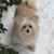 Jennifer Abruzzo's profile image