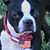 Cyle Hames's profile image