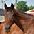 Tracy Hintz's profile image