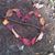 Rhonda Cassidy's profile image