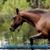Janice Palmer Gray's profile image