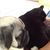 Grace Caravello's profile image