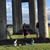Victoria Conde Cheesman's profile image