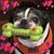 Gary Rashid's profile image