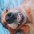 Denise Baillie Frisbie's profile image