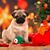 Tricia Jones's profile image