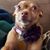Teri A. Swena's profile image