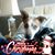 Bruce G Sigafus's profile image