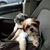 Janet Stovicek-Cozzarin's profile image