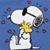 Ann Mansfield Munger's profile image