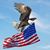 Cathy Klebba Hutchinson's profile image