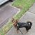 Missy Landrum's profile image