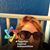 Deborah Pollow Kagan's profile image