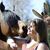 Patty McKenna's profile image