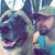Blake Cremeans's profile image