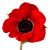 Caroline Goldthorpe's profile image
