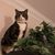 Brenda House Dunteman's profile image
