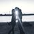 Tristan Beadle's profile image