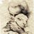 Tammy Ray Burks's profile image