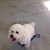 Janice White Parsons's profile image