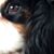Patti Tangney Blake's profile image
