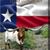 Bobby Todd's profile image