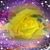 Barbara Patterson's profile image