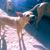 Janet Vanderver's profile image