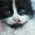 Janice Skinner's profile image