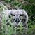Karen M. Stewart's profile image