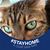 Maureen Corgan Kenney's profile image