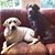 Samantha Elliott Lanclos's profile image