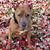 Terry McCullar Perry's profile image